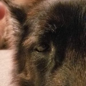 BUNDLE TO SAVE ON SHIPPING